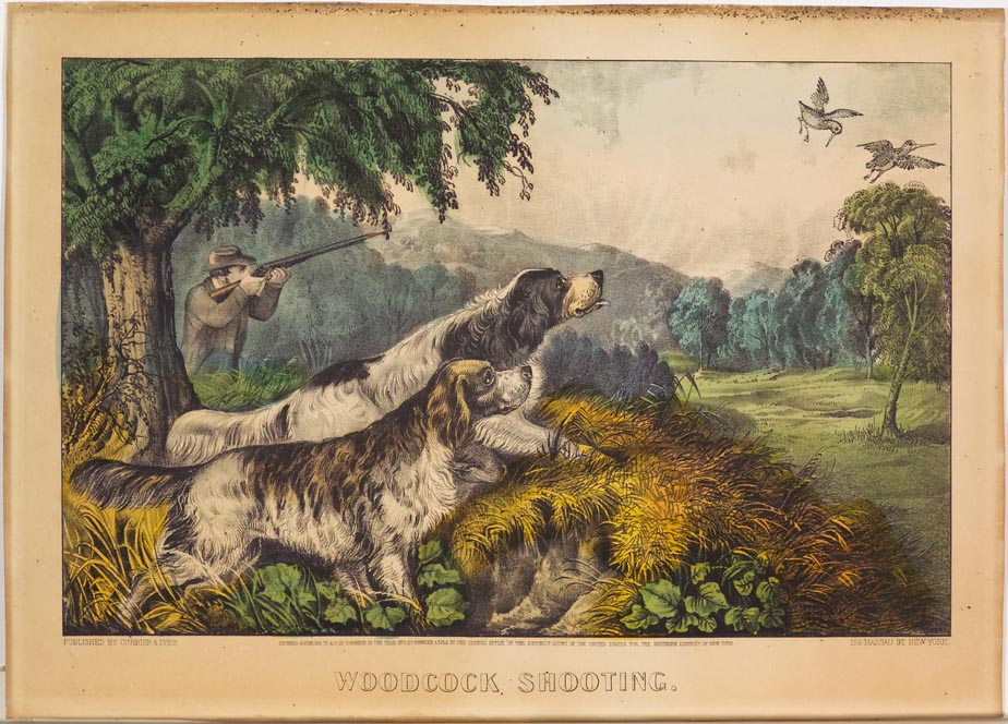 Woodland scene - two hunting dogs in foreground