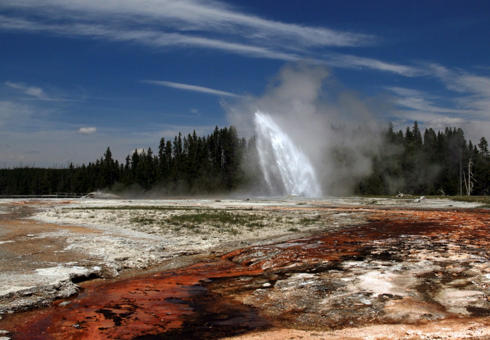 Geyser at Yellowstone National Park