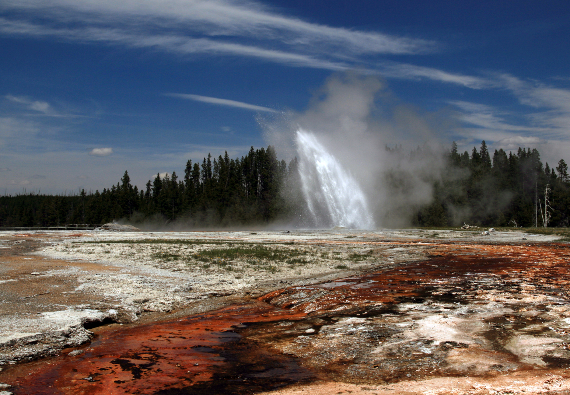 Geyser at Yellowstone National Park