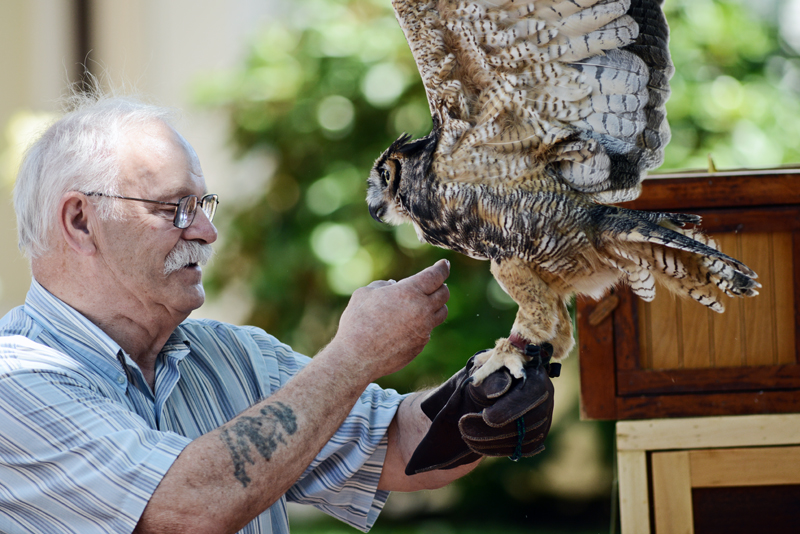 Tom Ricardi with an owl