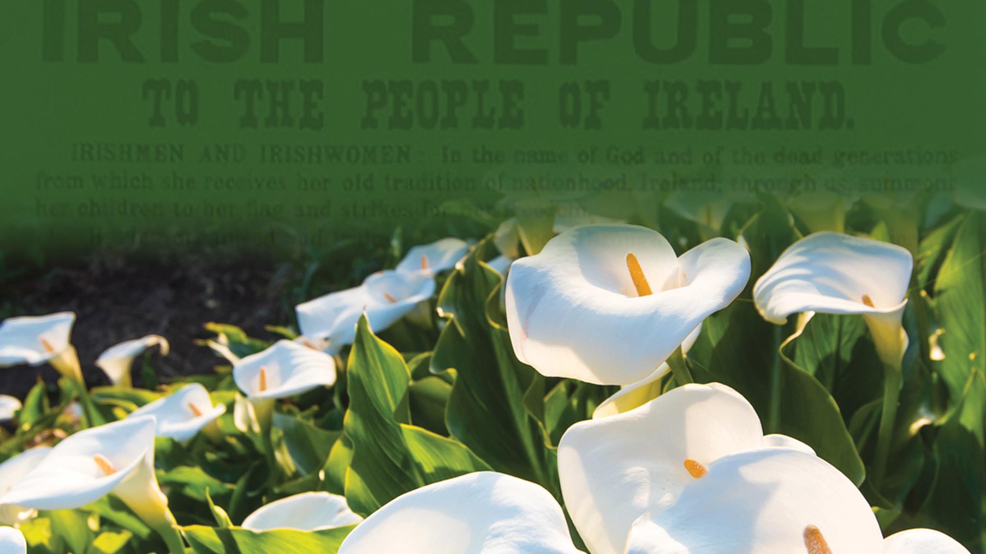 Trace Your Genealogy