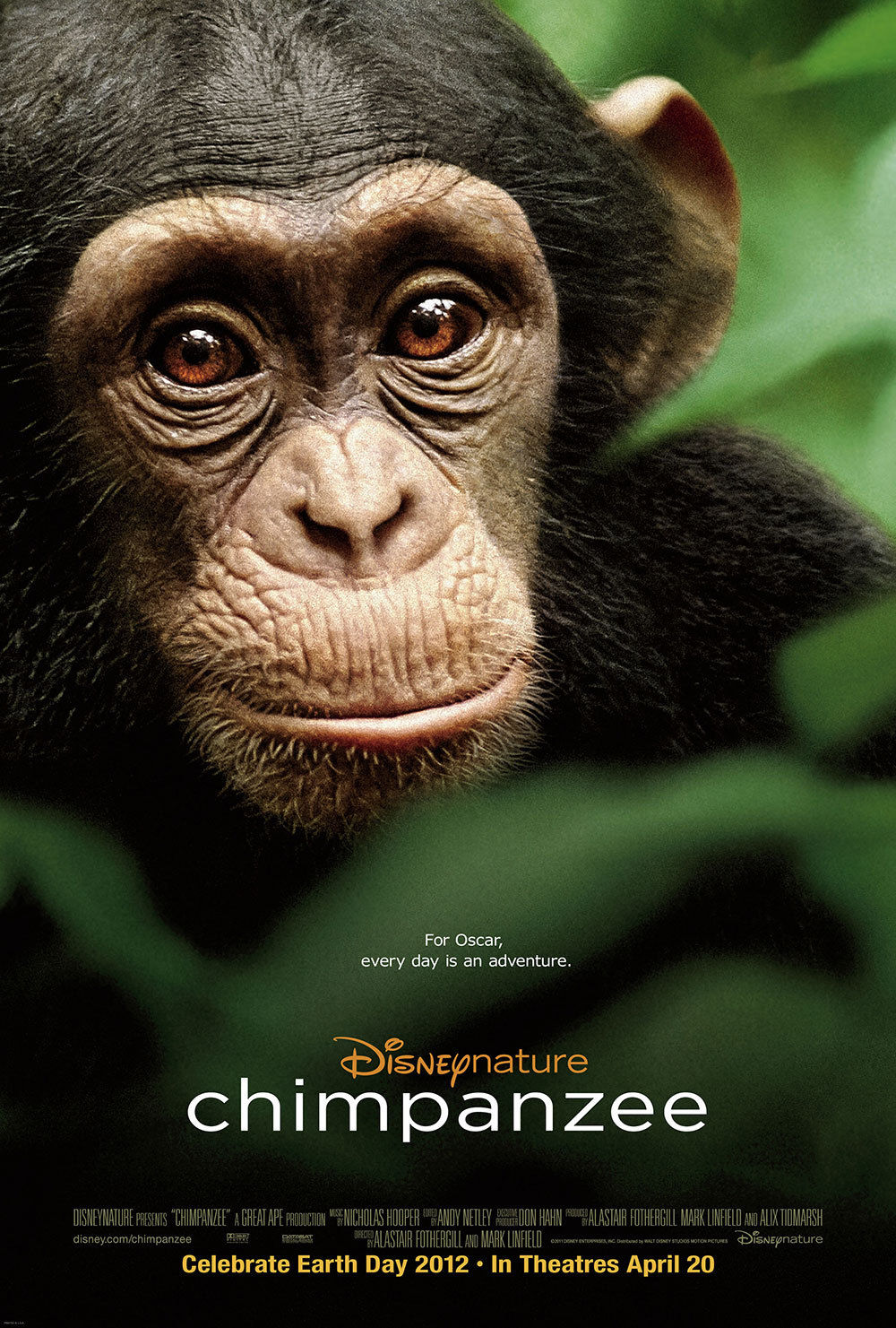 Disneynature Film: Chimpanzee