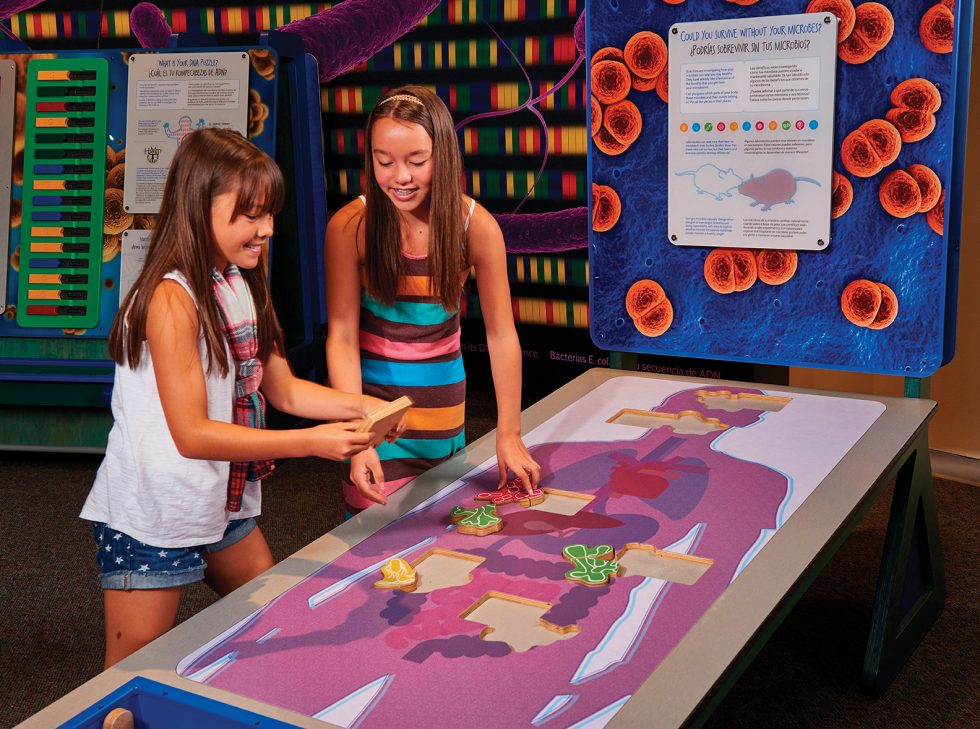 Zoo in You: The Human Microbiome