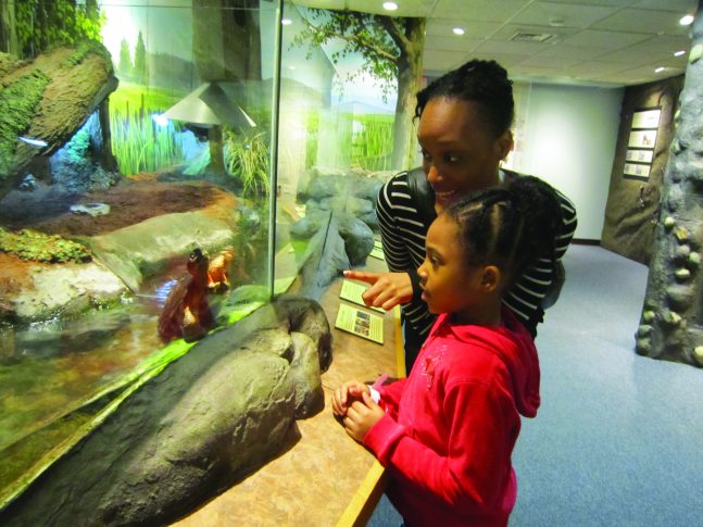 Connecticut River Valley Display in the Science Museum