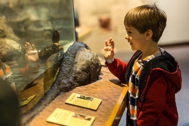 Connecticut River Exhibit