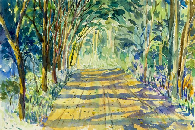 Watercolor painting of path in woods