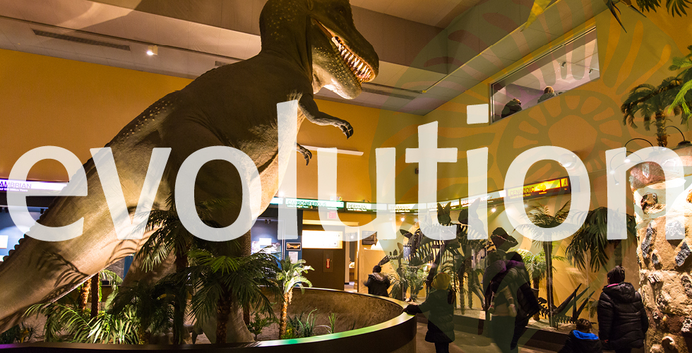 Evolution: Springfield Science Museum