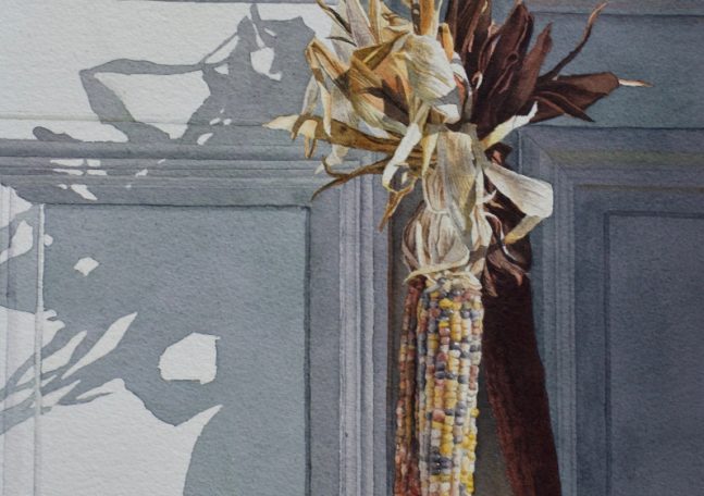 Watercolor of dried corn