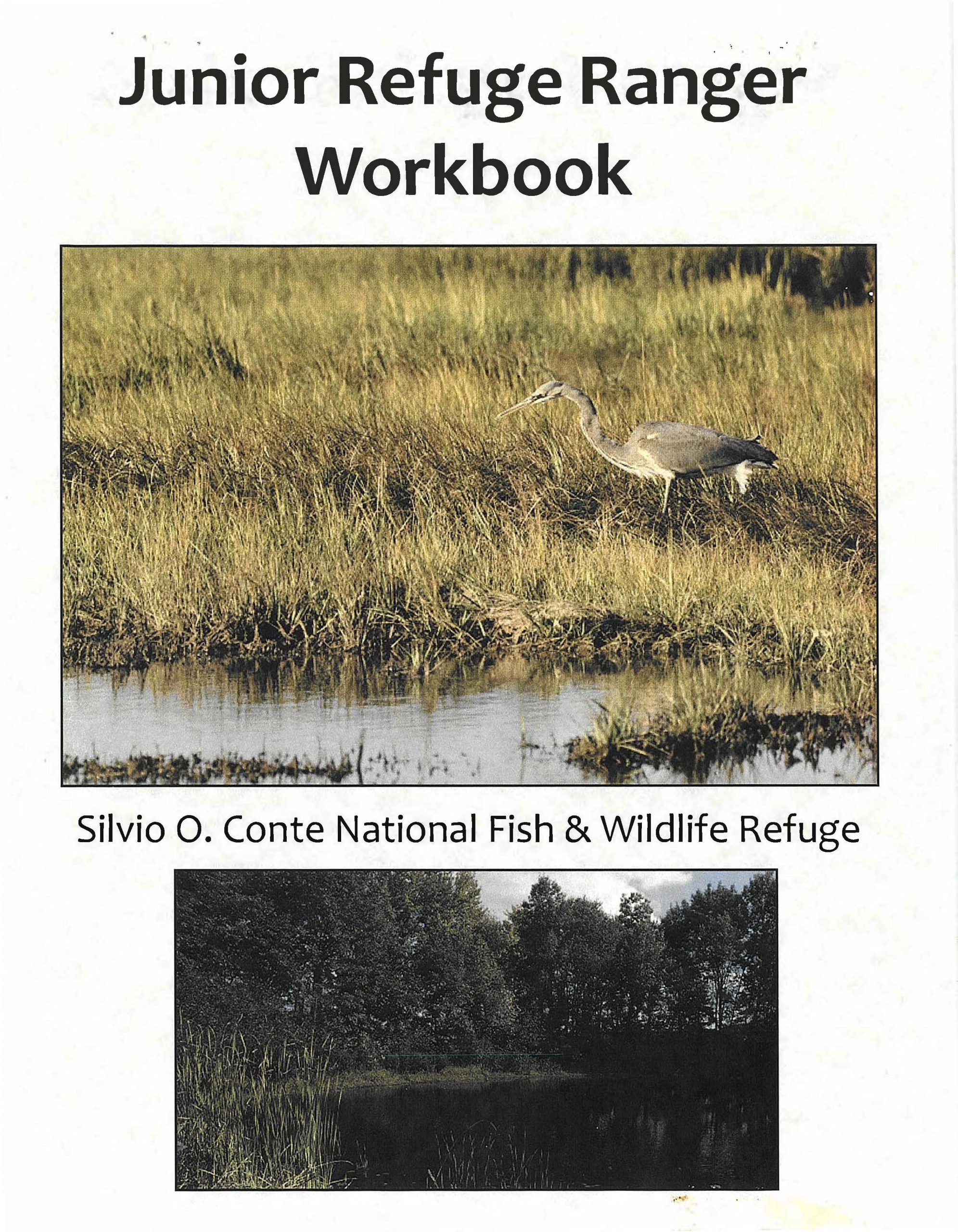 Junior Refuge Ranger Workbook