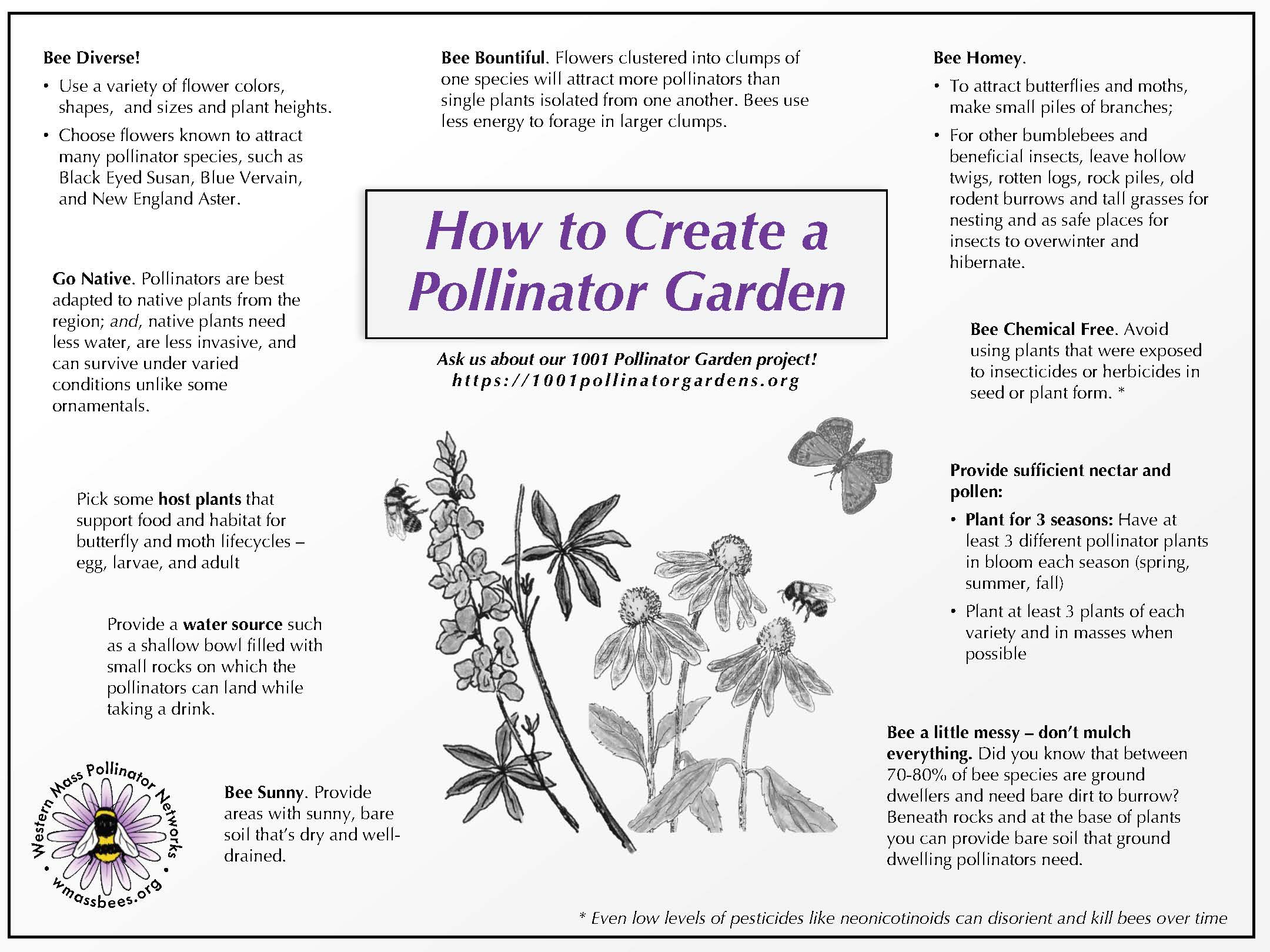 How to Create a Pollinator Garden