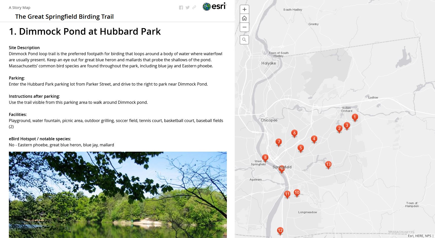 The Great Springfield Birding Trail