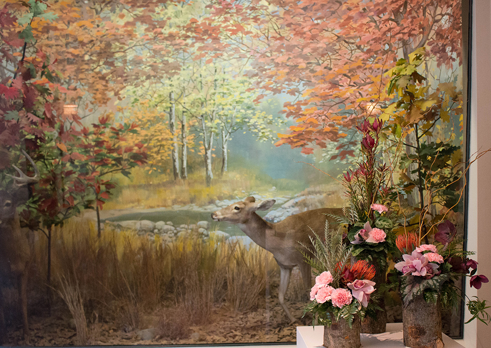 Festival of Flowers: Docent Tours