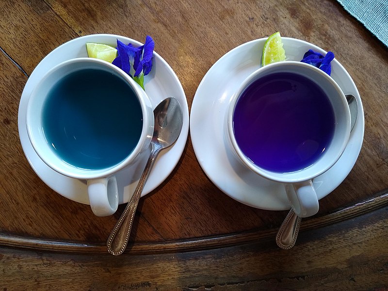 Blue pea flower tea