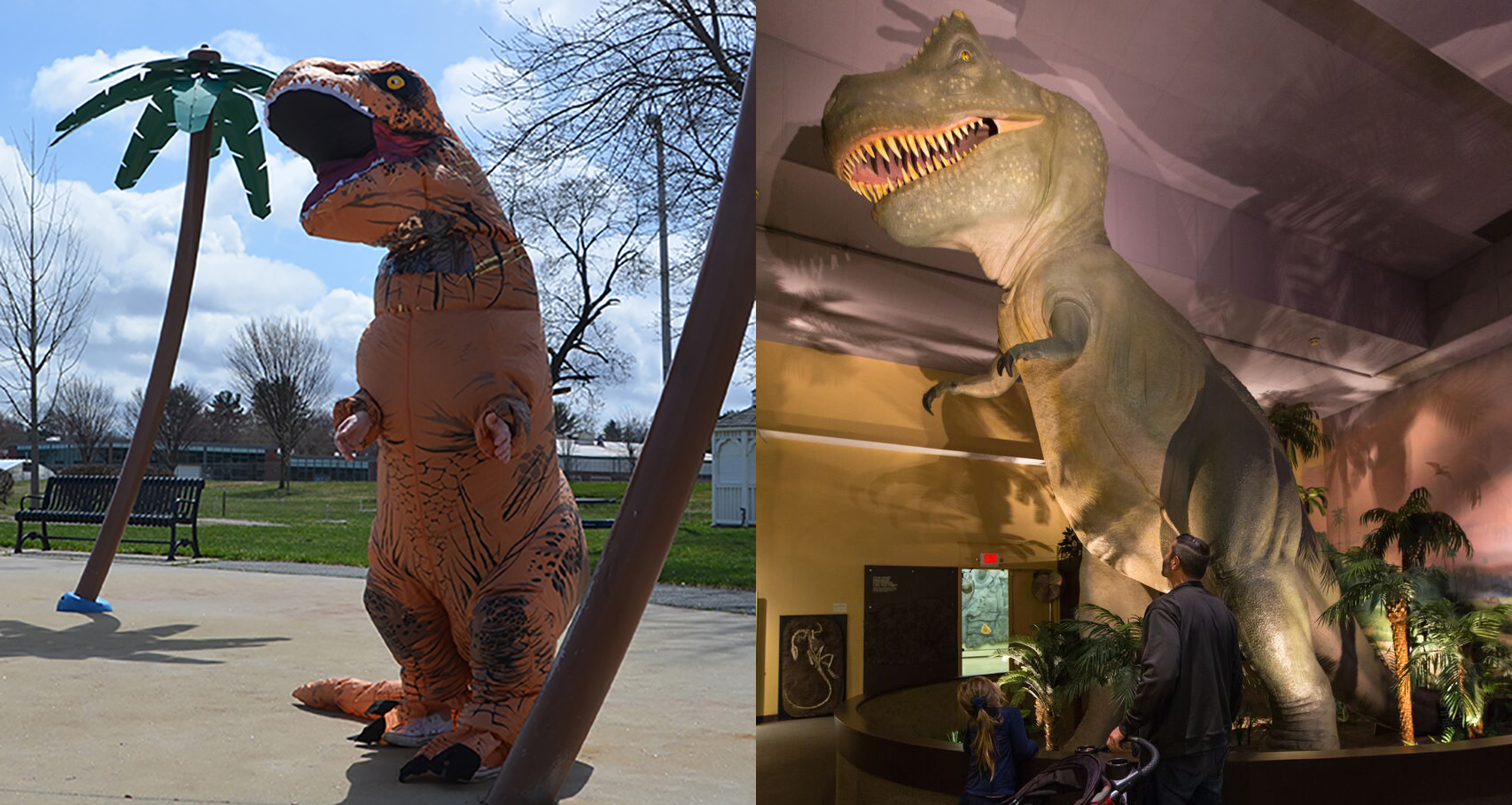 Person in costume imitates T.rex
