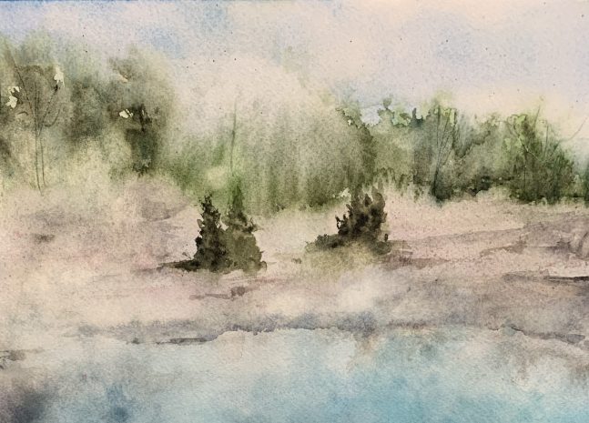 Watercolor painting of evergreens