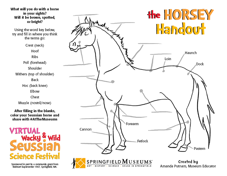 The Horsey Handout