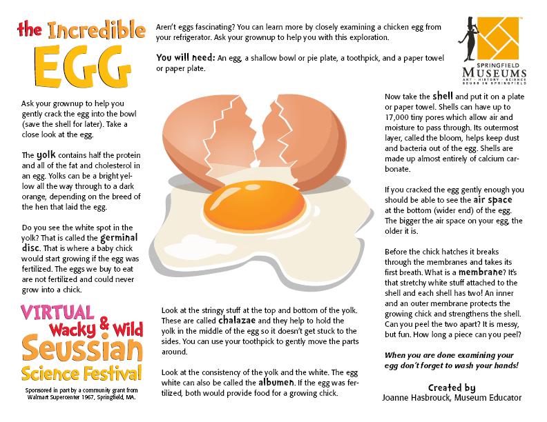 The Incredible Egg Activity