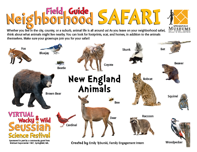 Field Guide Neighborhood Safari