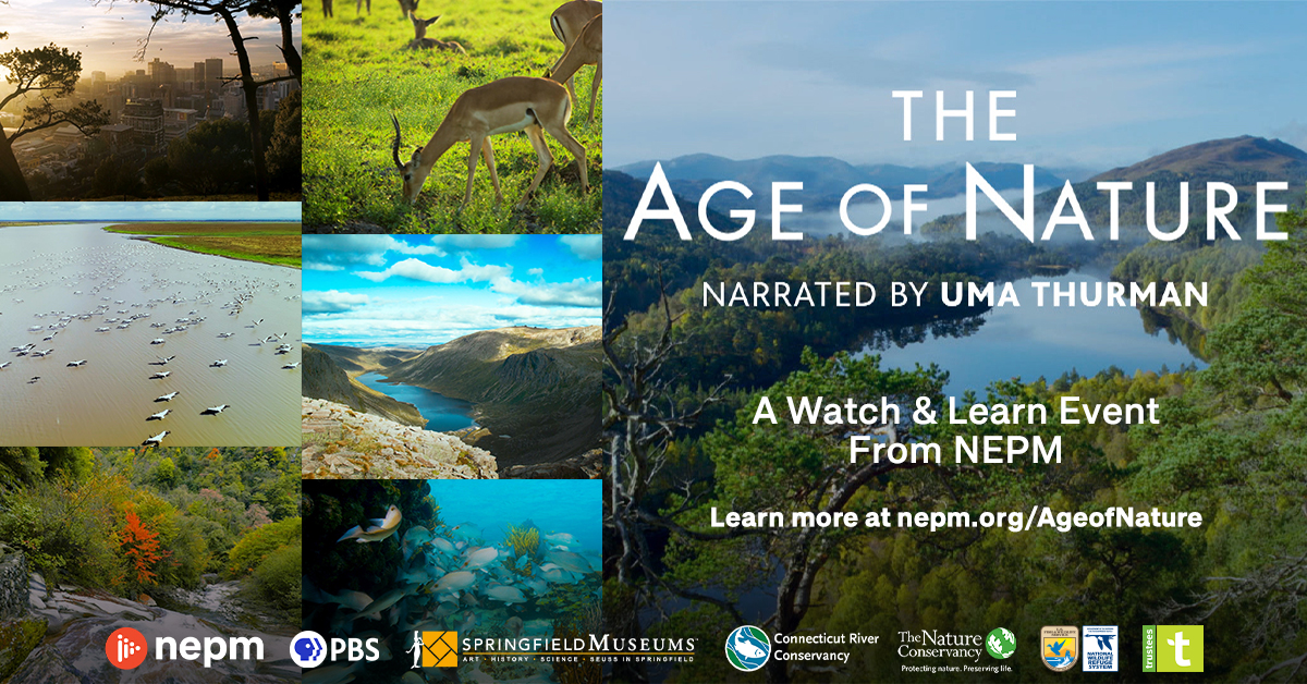 The Age of Nature