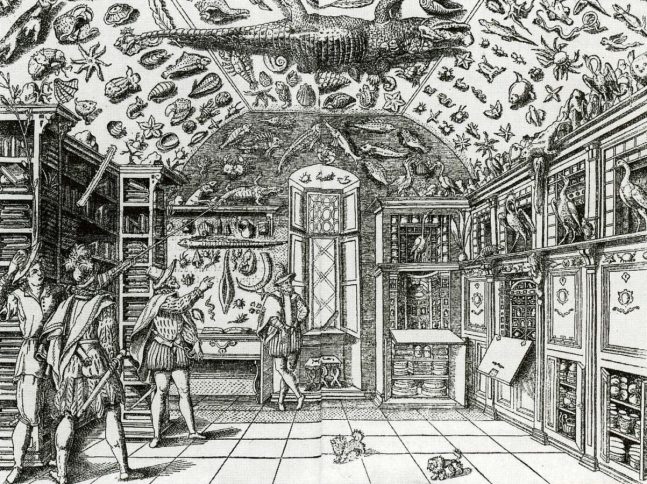 16th century print of a museum gallery