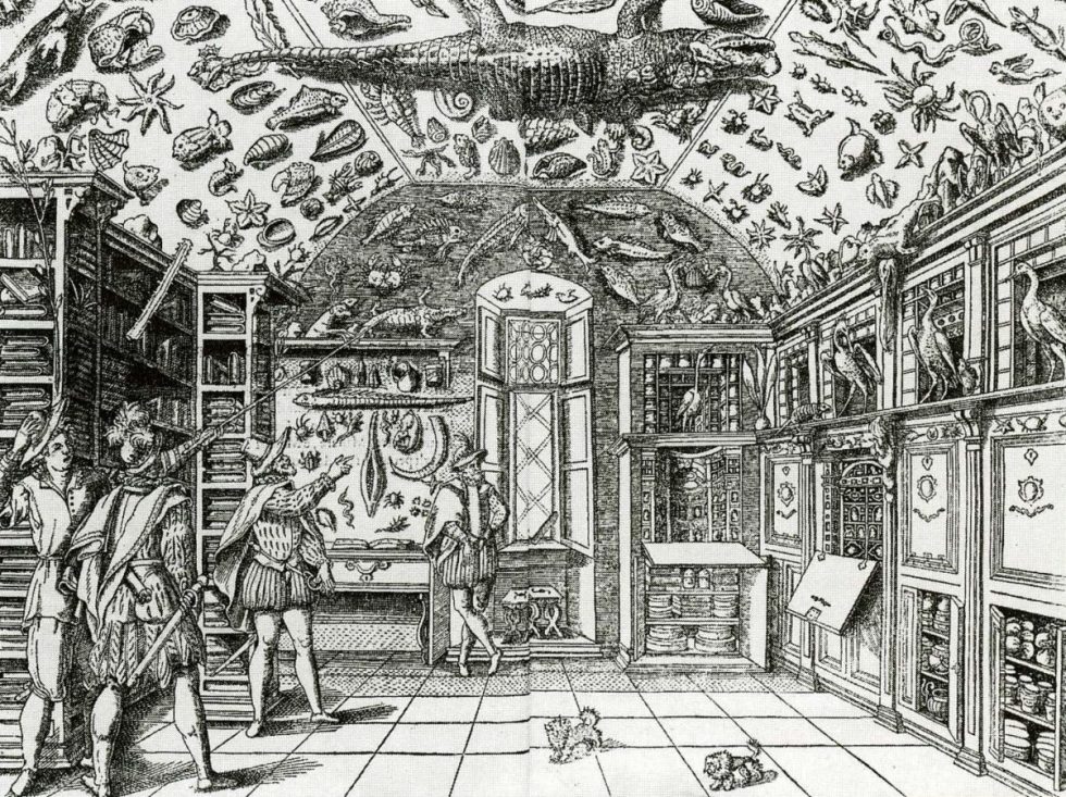 16th century print of a museum gallery