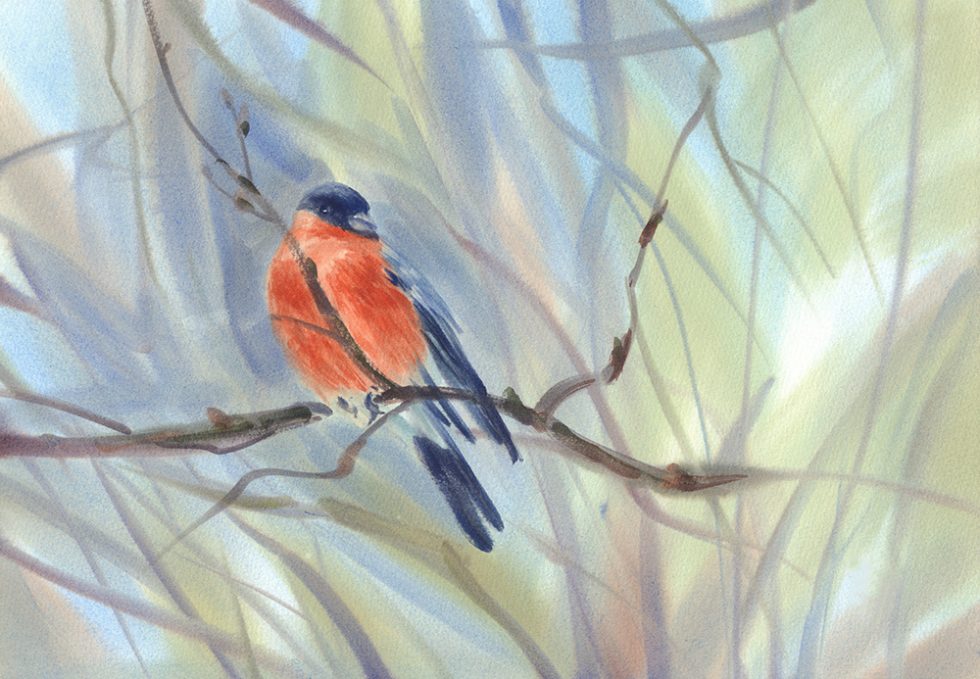 Red bird painted in watercolor