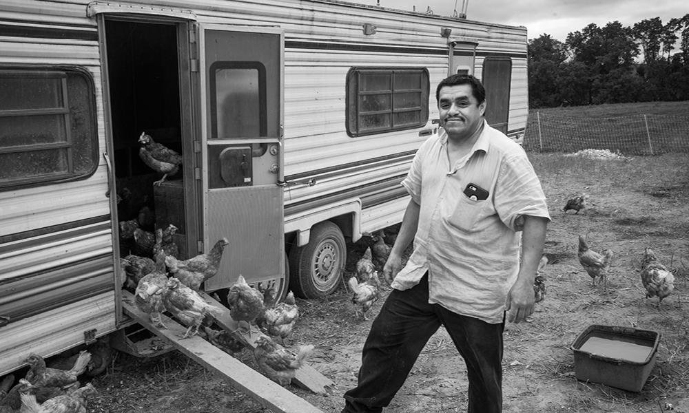 Photo of a man outside a RV with chickens