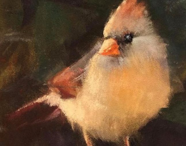 Pastel drawing of bird