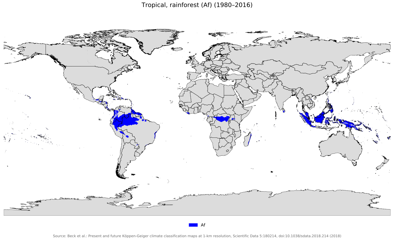 Rainforest Map