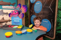 Splash and Bubbles Exhibit