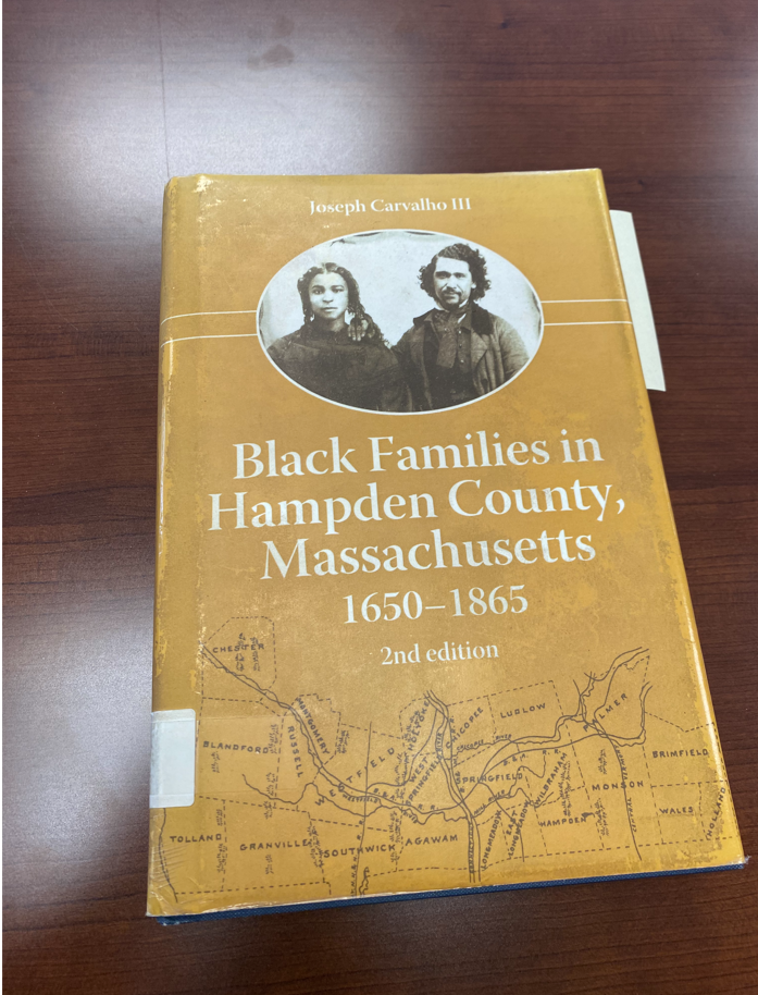 Black Families in Hampden County, Massachusetts