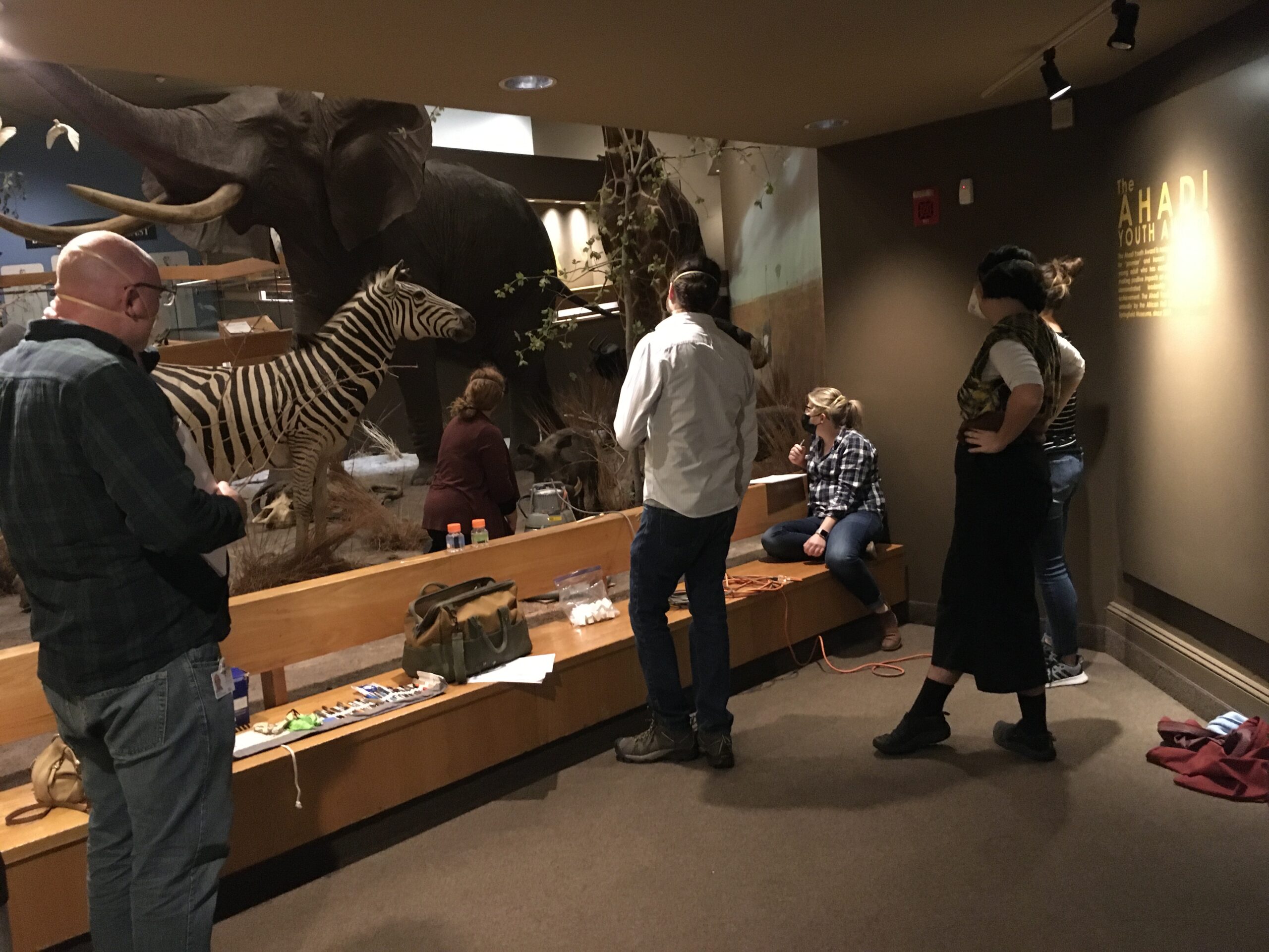 Staff learn about cleaning taximdery