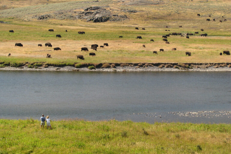 A Couple at the Lamar River, 2008