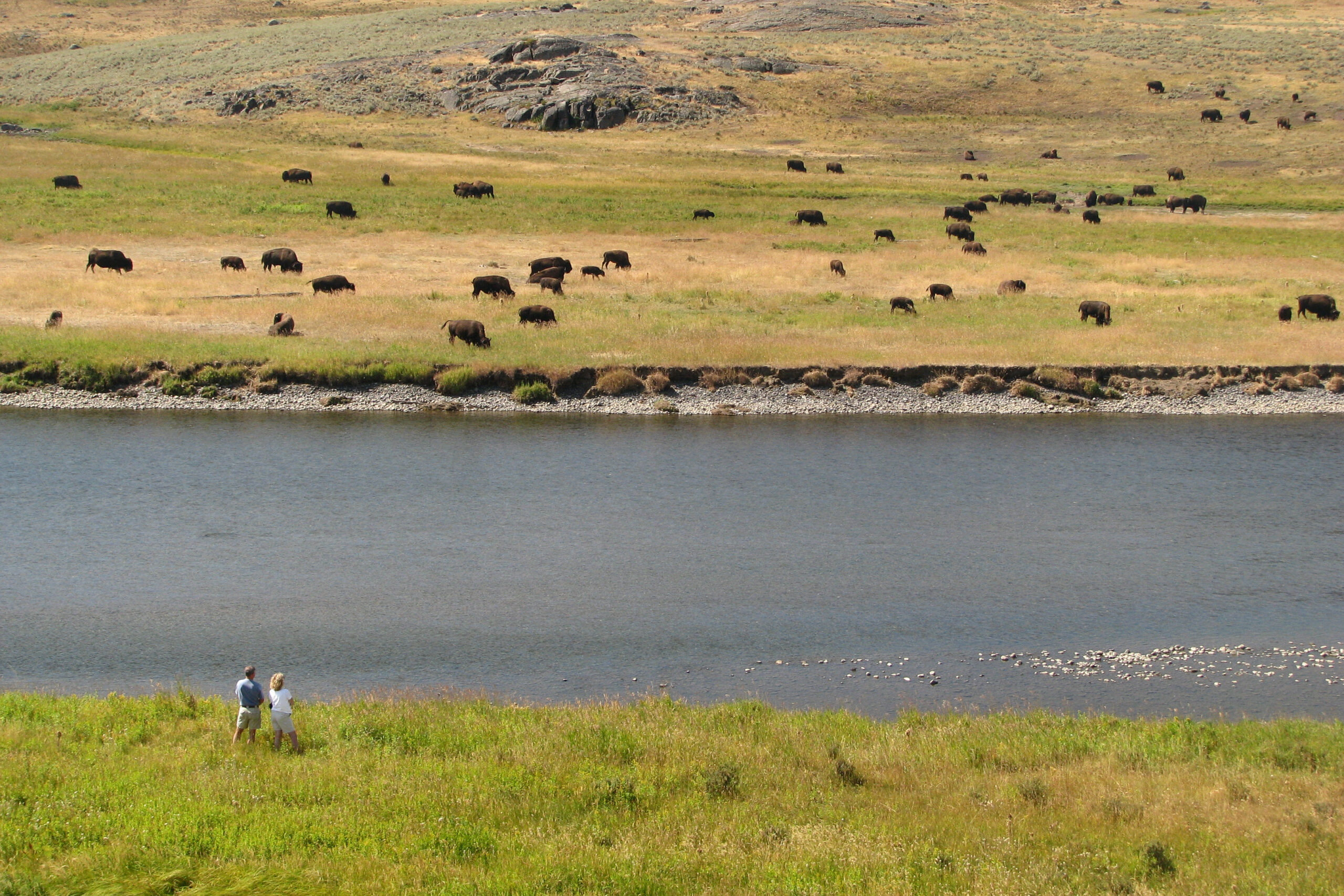 A Couple at the Lamar River, 2008