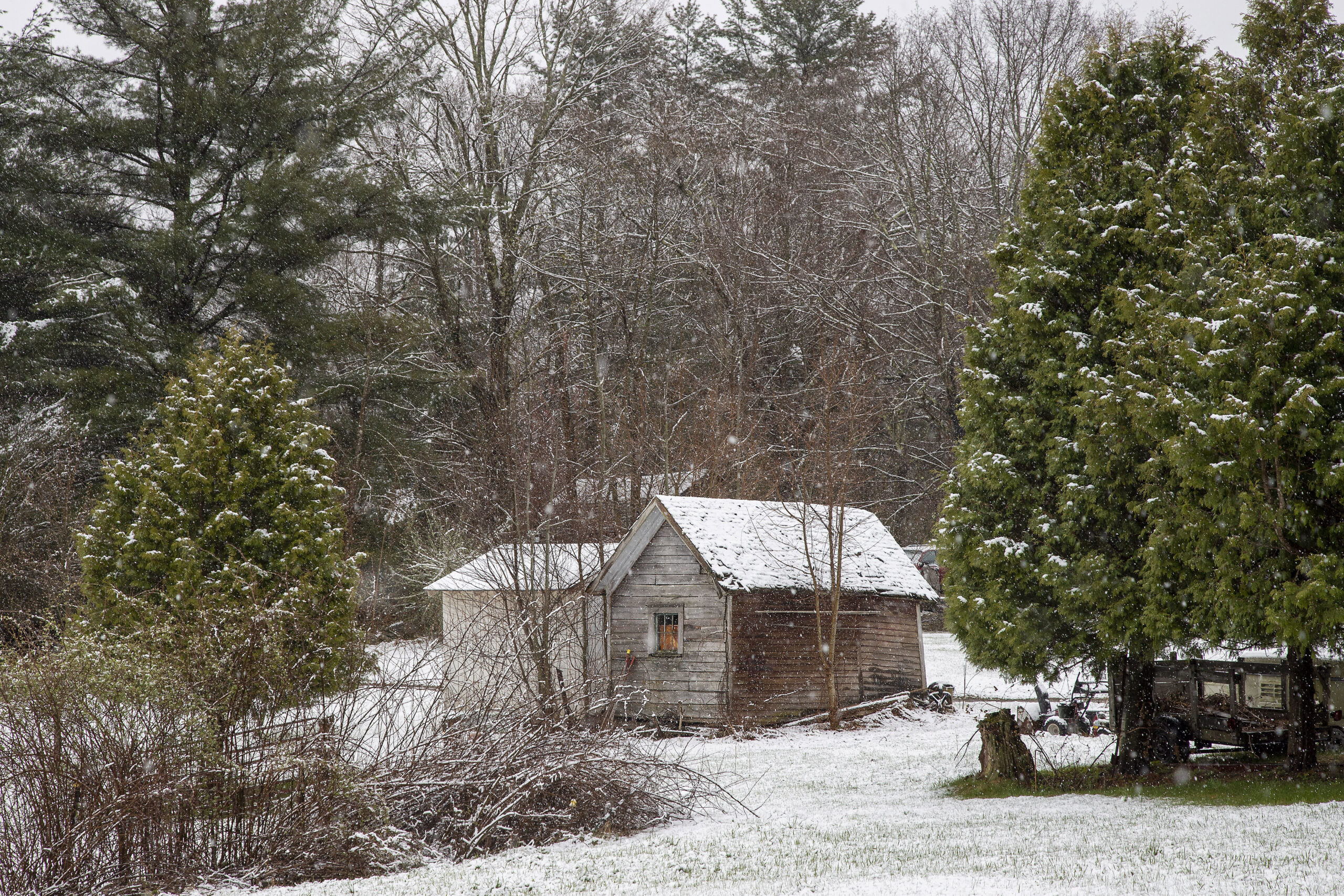 Shed in Spring Snowstorm, 2020