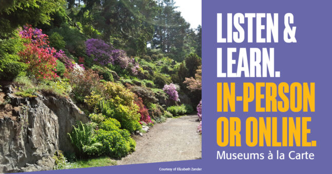 Path lined with colorful flowers and large rocks