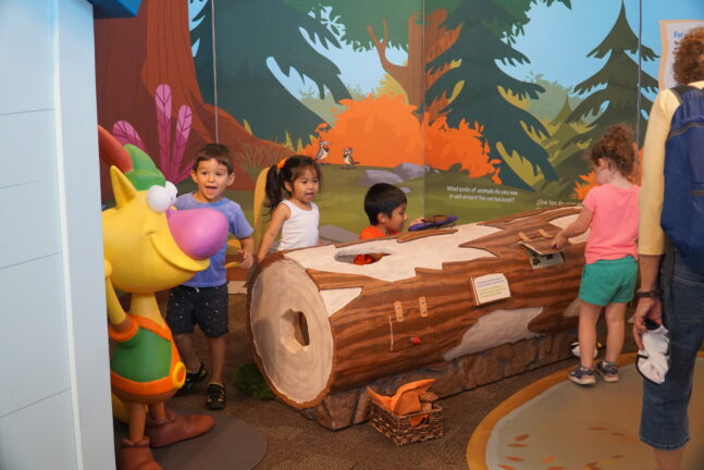 Nature Cat Museum Exhibit