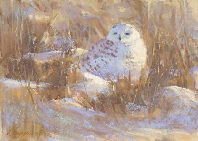 Pastel drawing of an owl