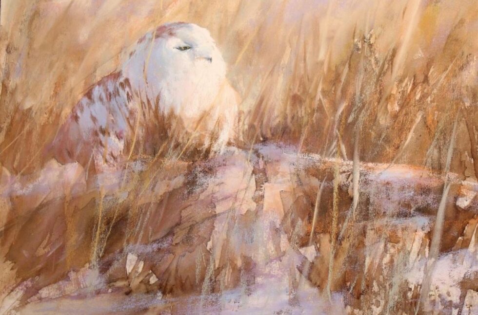 pastel drawing of a owl standing among reeds