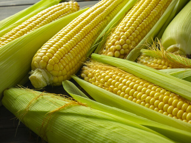 Raw corn cob