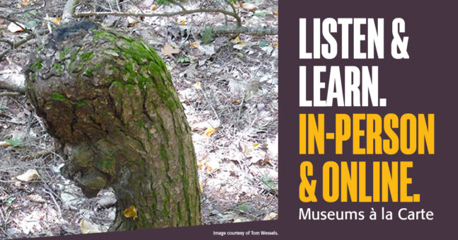 Listen & Learn. In-Person & Online.