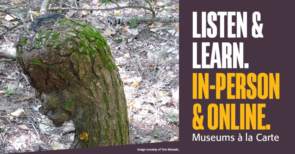 Listen & Learn. In-Person & Online.