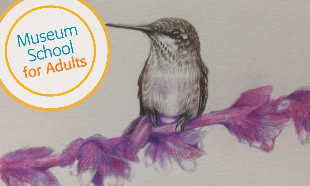 Birds & Botanicals in Colored Pencil