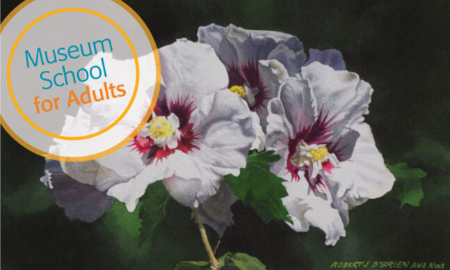 Painting of rose of sharon flower