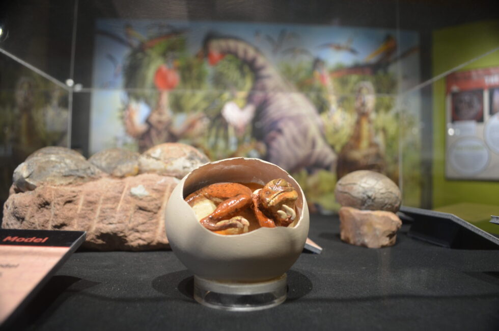 The Springfield Museums Hatch Tiny Titans