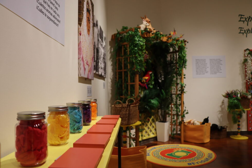 Explore Frida’s World