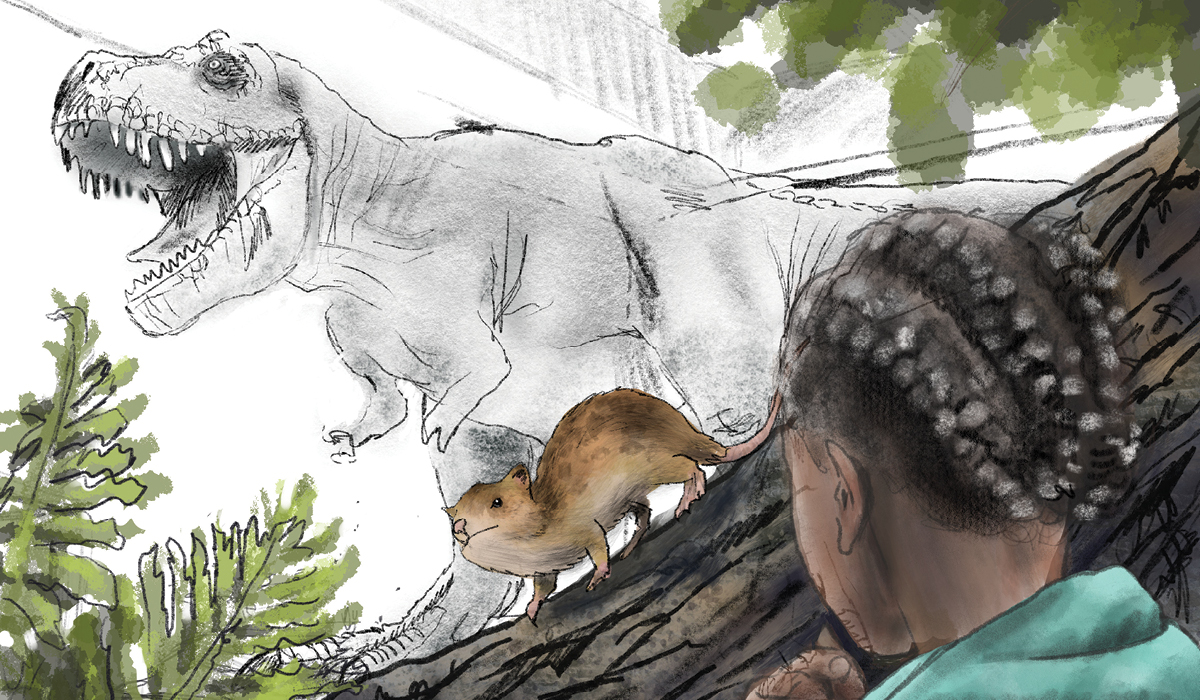 Concept drawing of child looking at life-size T-rex