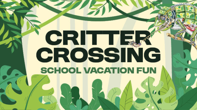 Critter Crossing: School Vacation Fun