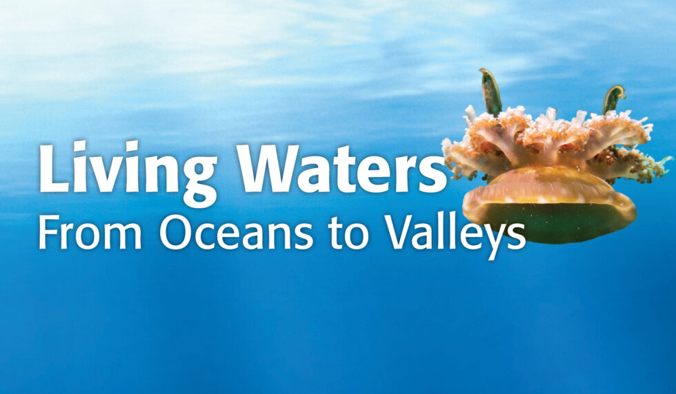 Living Waters: From Oceans to Valleys