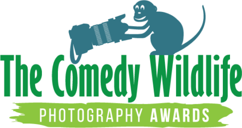 Comedy Wildlife Photography Awards